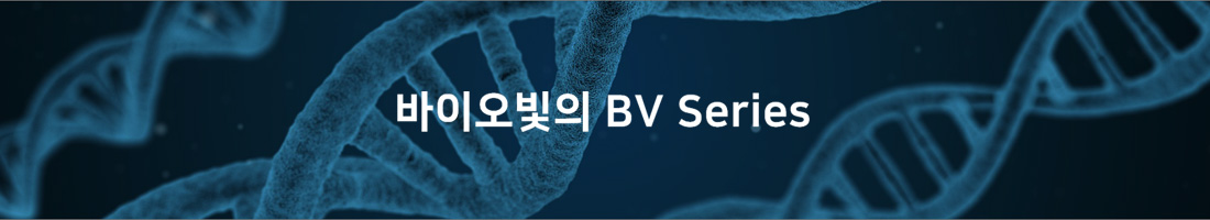 ���̿� ���� BV Series