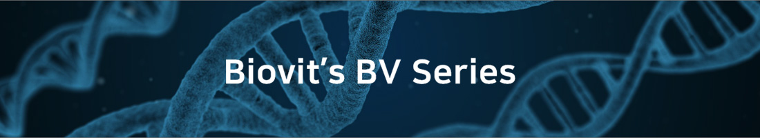 ¹ÙÀÌ¿À ºûÀÇ BV Series