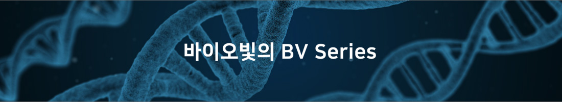 ̿  BV Series